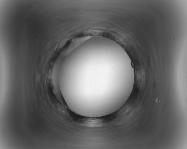 X0000086230617200704121916