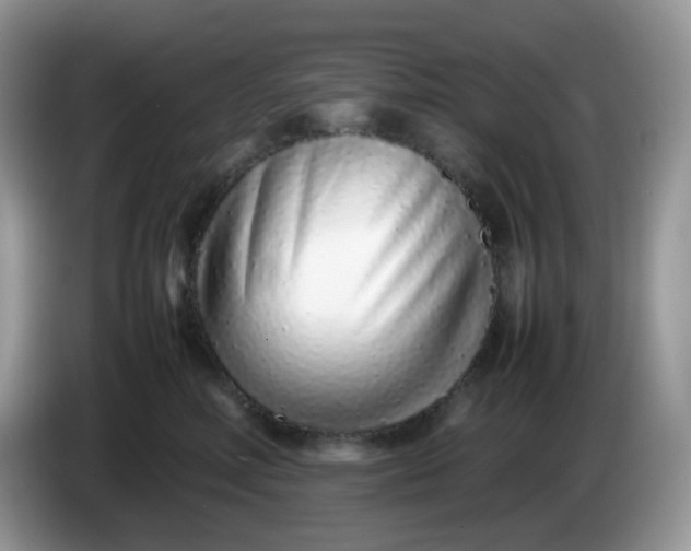 X0000086230618200704121916