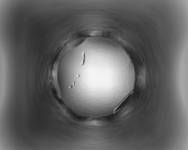 X0000086230620200704121916