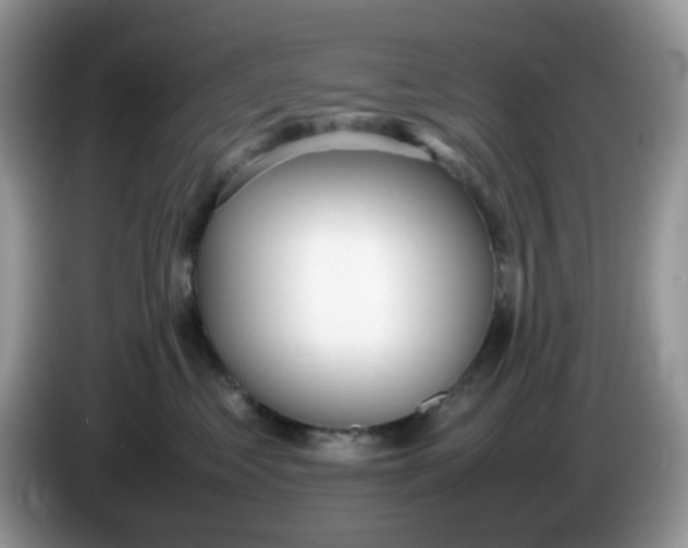 X0000086230621200704121916