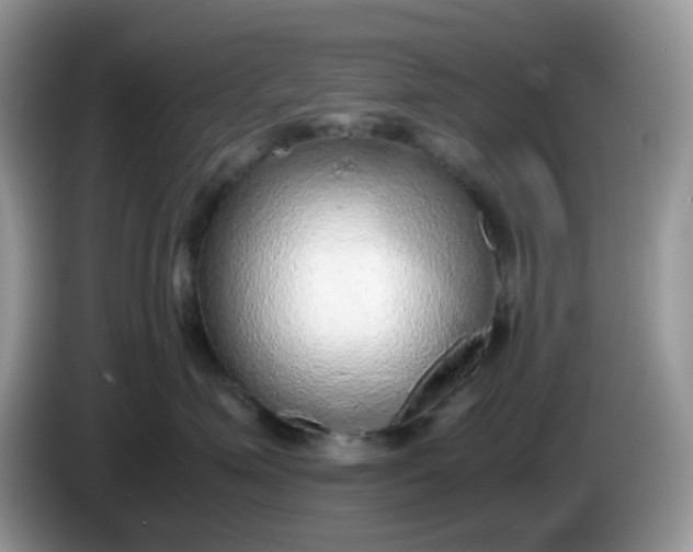 X0000086230623200704121916