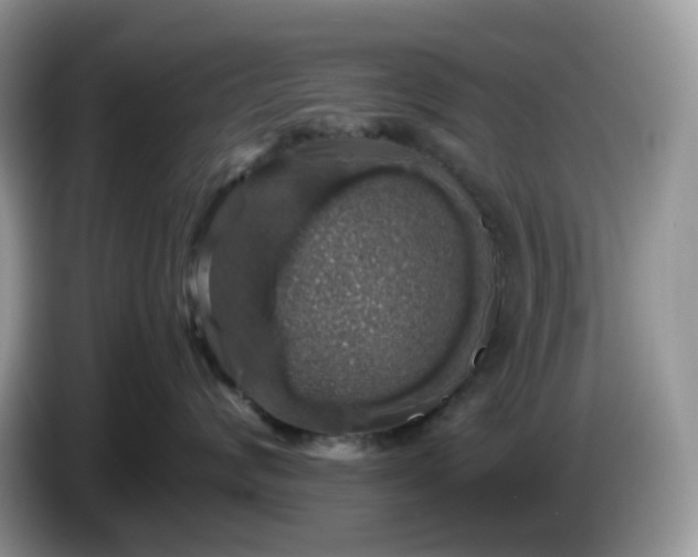 X0000086230624200704121916