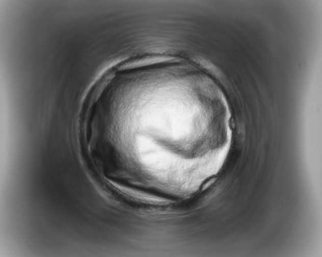 X0000086230626200704121916