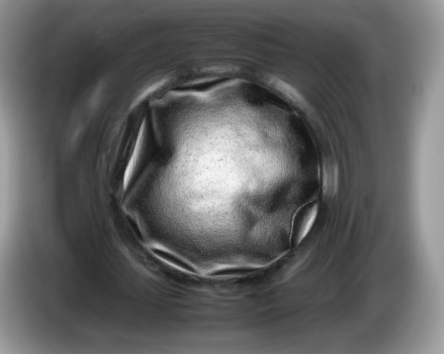 X0000086230627200704121916