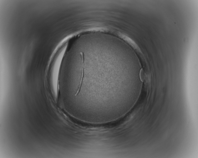 X0000086230628200704121916