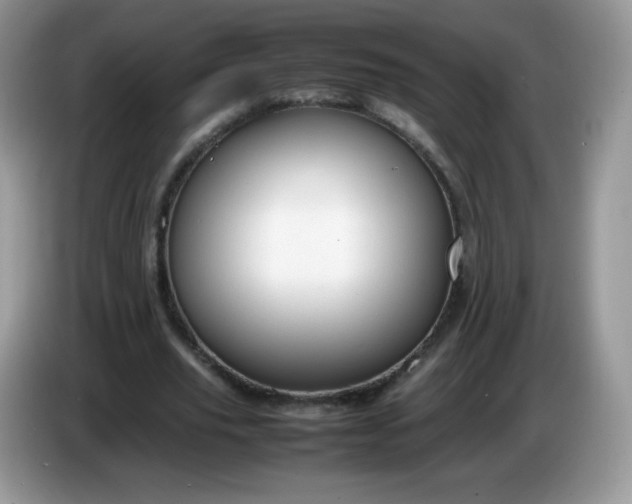 X0000086230629200704121916