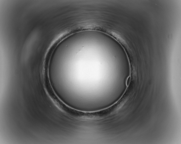 X0000086230630200704121916