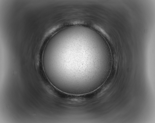 X0000086230631200704121916