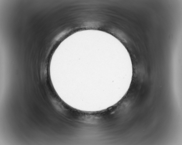 X0000086230632200704121916