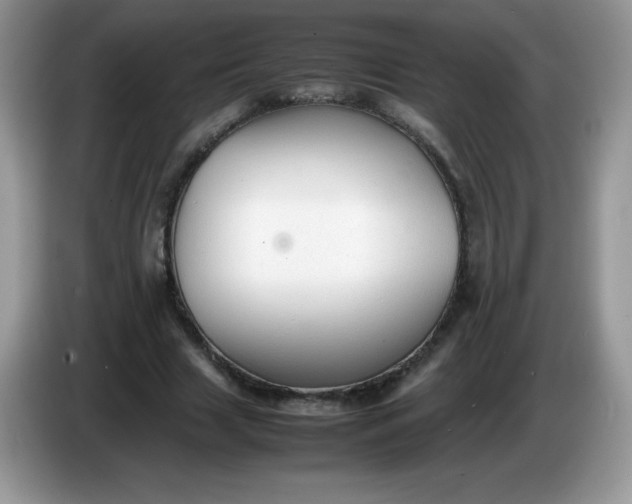 X0000086230633200704121916