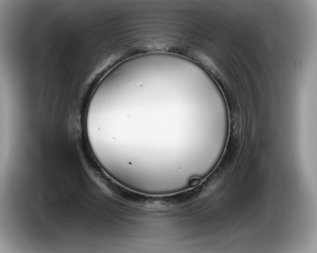 X0000086230634200704121916