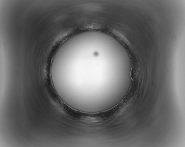 X0000086230635200704121916