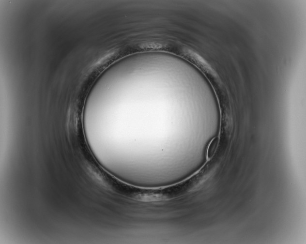 X0000086230637200704121916