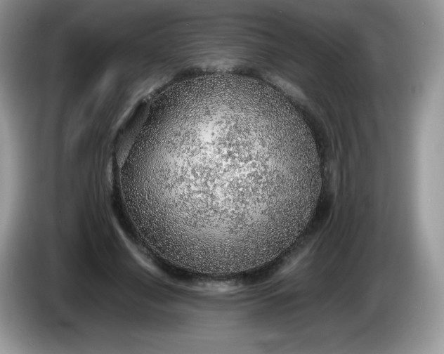 X0000086230638200704121916