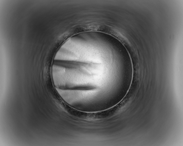 X0000086230641200704121916