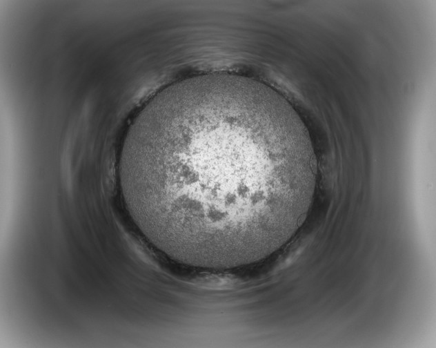 X0000086230642200704121916