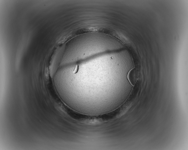 X0000086230646200704121916