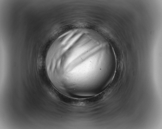 X0000086230647200704121916