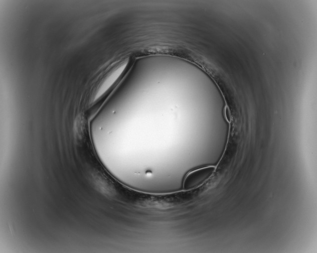 X0000086230648200704121916