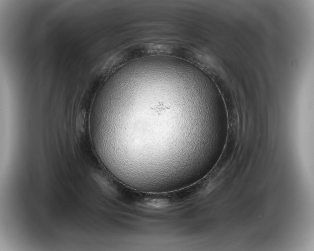 X0000086230649200704121916