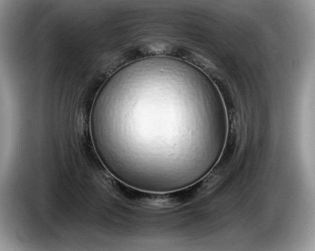 X0000086230651200704121916