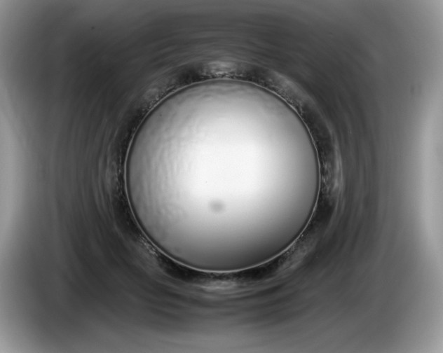 X0000086230653200704121916