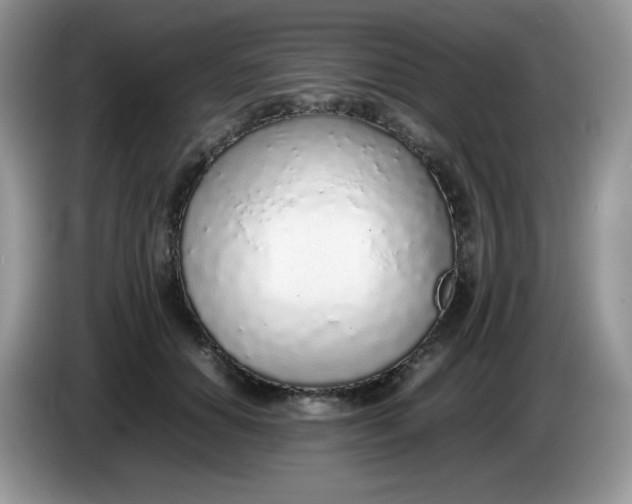 X0000086230654200704121916