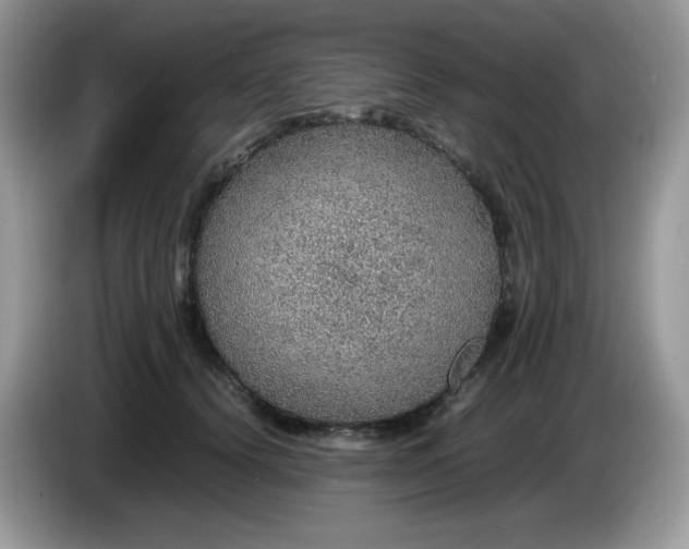 X0000086230656200704121916