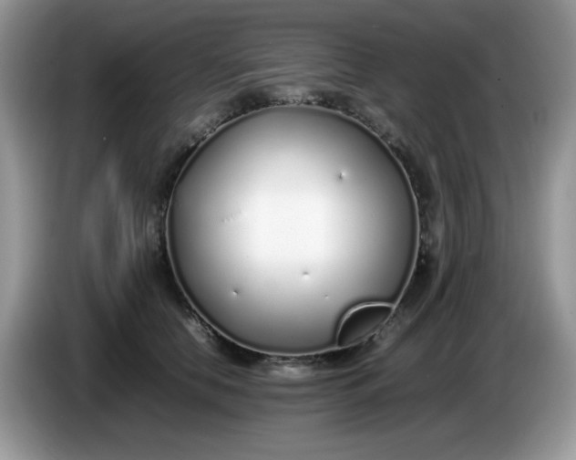 X0000086230658200704121916