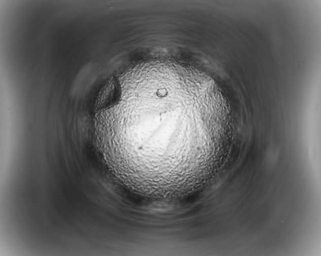 X0000086230659200704121916