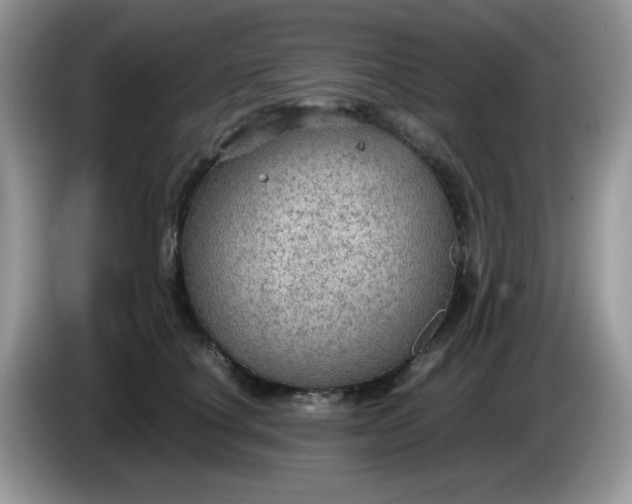 X0000086230660200704121916