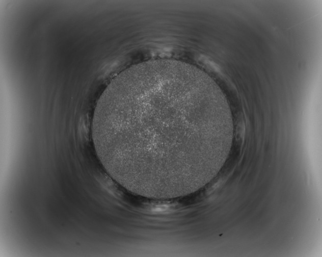 X0000086230661200704121916