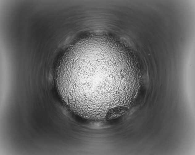 X0000086230662200704121916