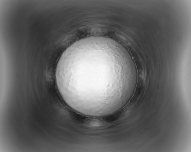 X0000086230663200704121916