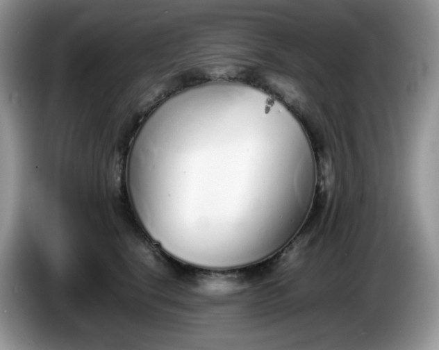 X0000086230664200704121916