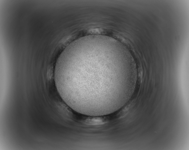 X0000086230665200704121916