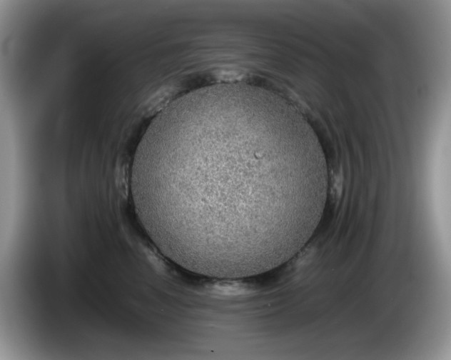 X0000086230666200704121916