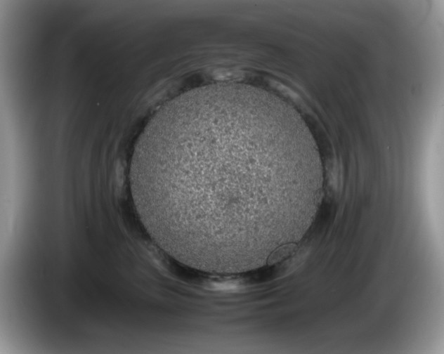 X0000086230667200704121916