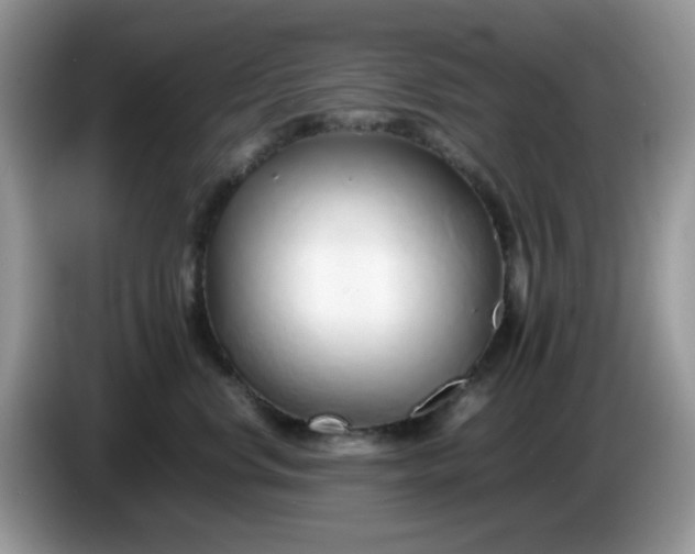 X0000086230668200704121916