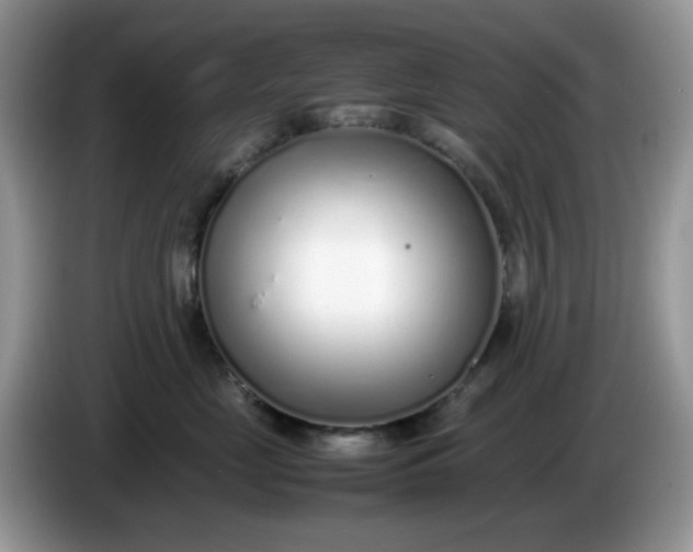 X0000086230669200704121916