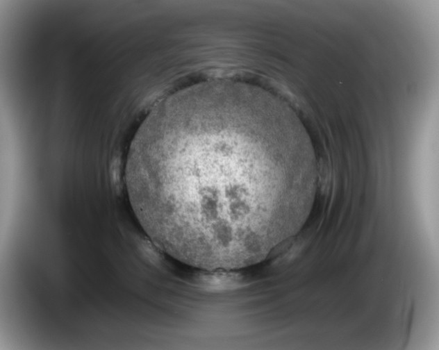 X0000086230670200704121916