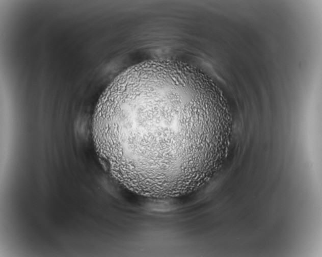 X0000086230671200704121916