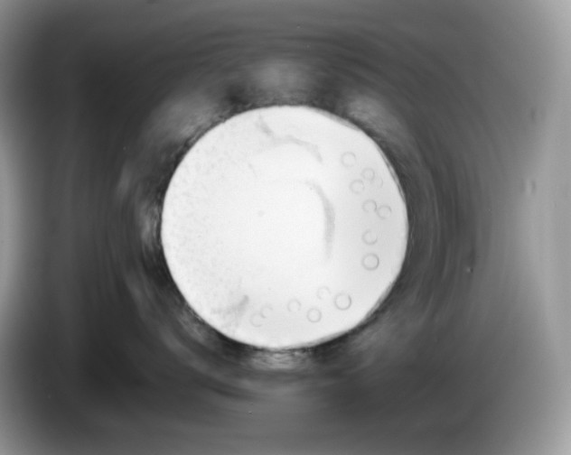 X0000086230672200704121916