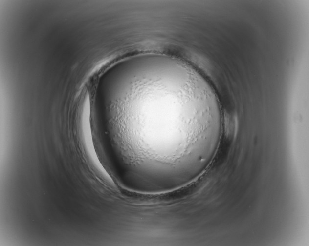 X0000086230675200704121916