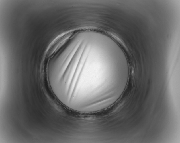 X0000086230676200704121916