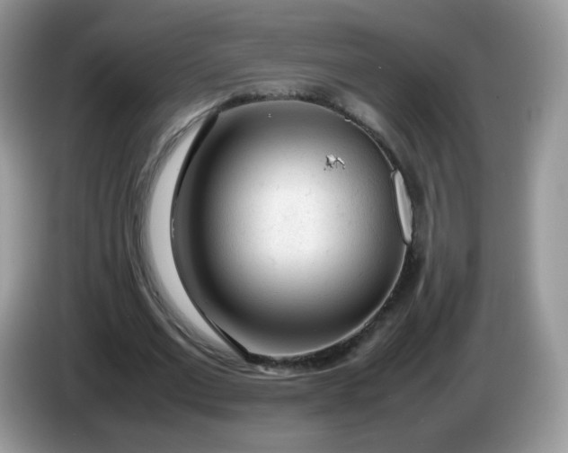 X0000086230677200704121916