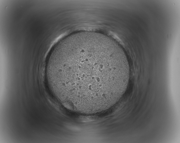 X0000086230679200704121916