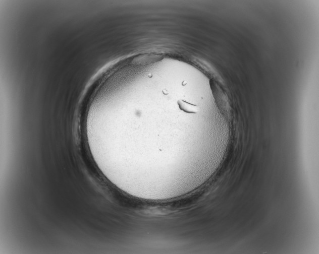 X0000086230680200704121916