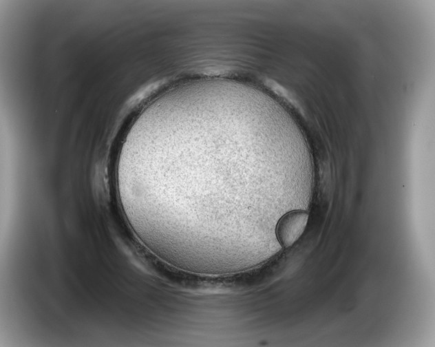 X0000086230682200704121915