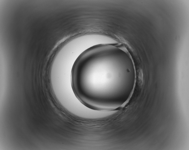 X0000086230684200704121915